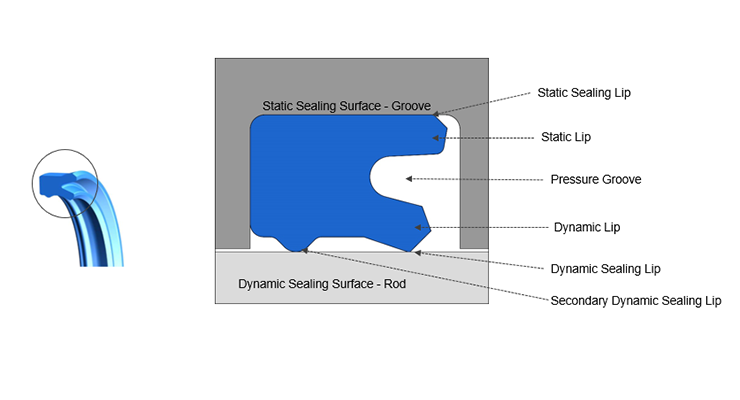 Hallite Dynamic U-cup