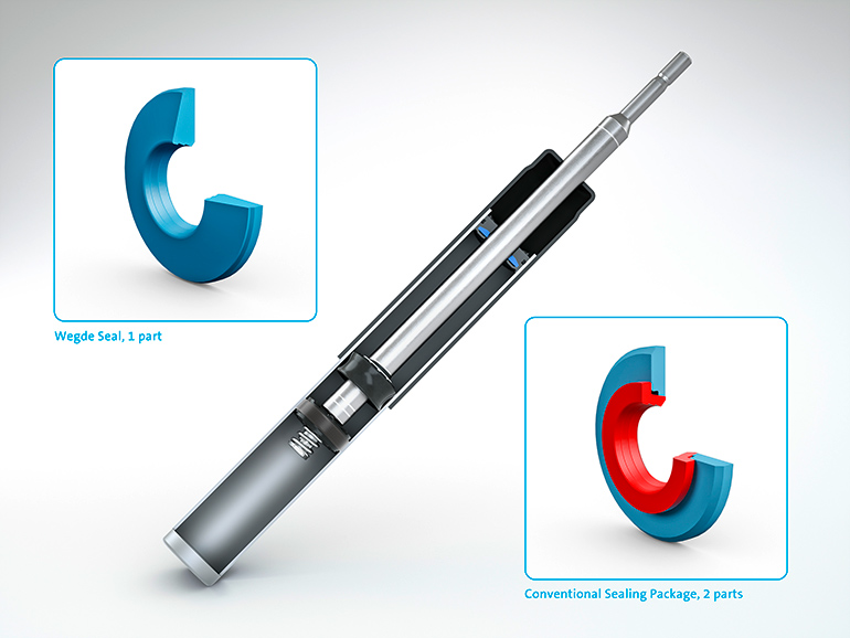 Freudenberg Sealing wedge-shaped seal for shock absorbers