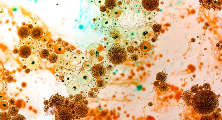 How do you prevent microbes in hydraulic oil?